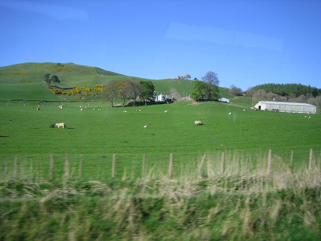 i/Family/Edinburgh/Picture 102 (Small).jpg_1024.jpg